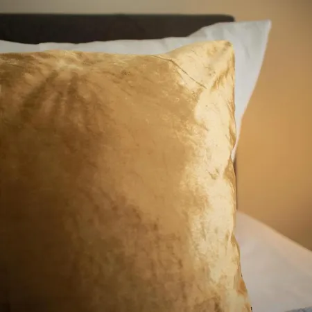 Apartmán Loewe Gold Tiengen Altstadt Waldshut-Tiengen