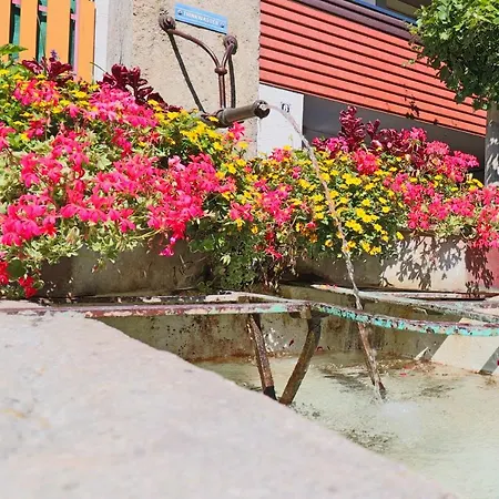 Loewe Gold Tiengen Altstadt * Waldshut-Tiengen